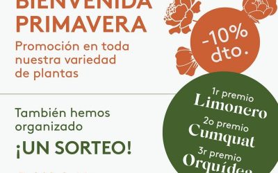 Promoció i sorteig de Benvinguda a la Primavera 2021