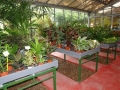 venta-plantas-interior-barcelona-baix-llobregat