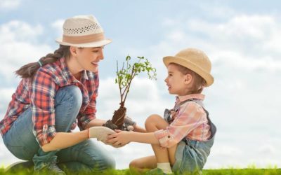 Jardinería con los más pequeños: una actividad muy gratificante