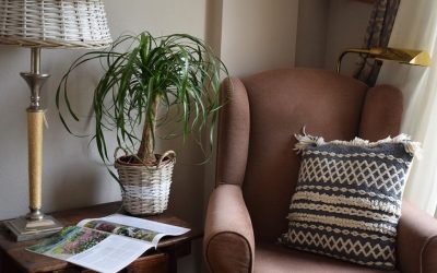 Rutina Verde: Crea tu rincón verde