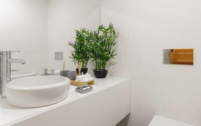 Rutina Verde: Decora tu cuarto de baño con plantas