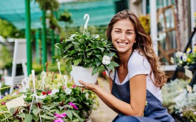 Ofertas Septiembre 2025 para clientes VIP