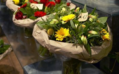 1 de noviembre: Día de  Todos los Santos