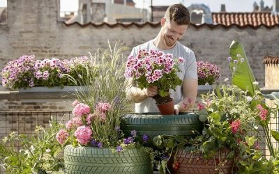 Feliz Día del Padre