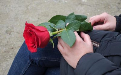 Sant Jordi: Día Internacional del Libro y de la Rosa