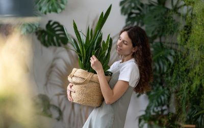 Cómo recuperar las plantas y el jardín tras el verano