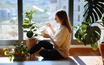 Plantas de interior: guía de supervivencia